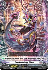 Cardinal Fang, Phovi - D-SS08/004EN - TD