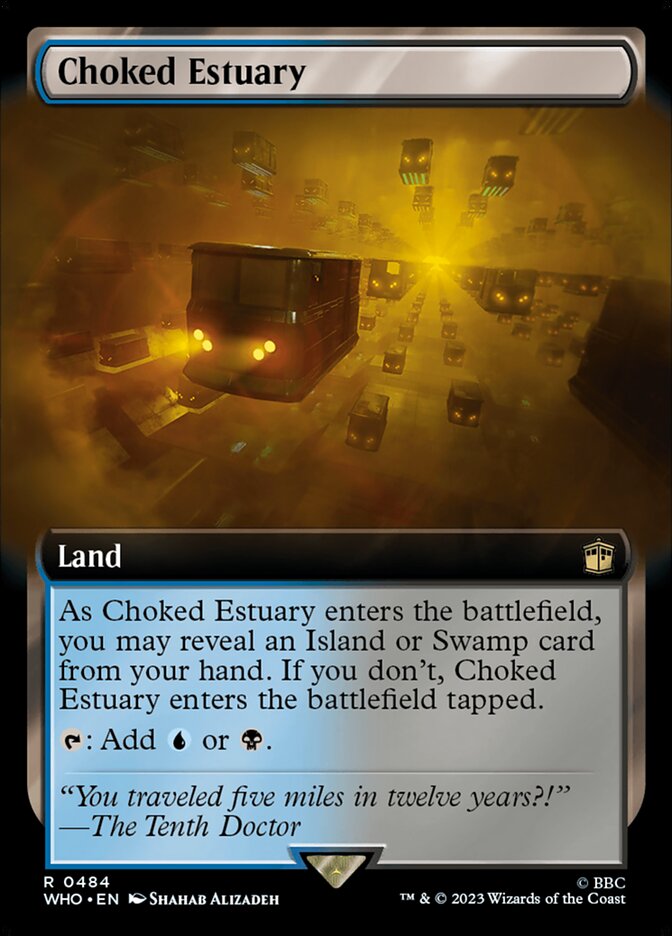 Choked Estuary - Extended Art