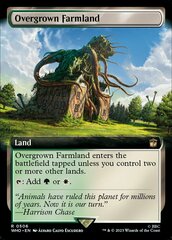 Overgrown Farmland (0506) (Extended Art)