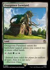 Overgrown Farmland (0883) - Surge Foil