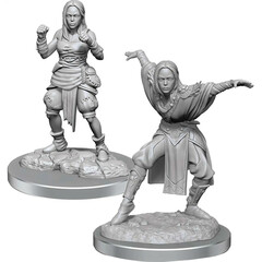 Pathfinder Battles Deep Cuts: Female Half-Elf Monk (Wave 21)