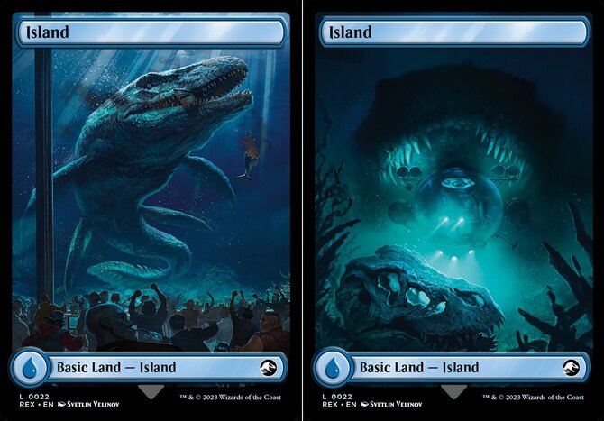 Near Mint, English - 1 x MTG Island (0022) Double-sided Land
