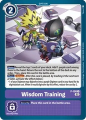 Wisdom Training (Blast Ace Box Topper) - P-108 - P