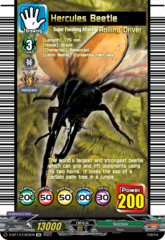 Hercules Beetle - D-BT13/EX03EN - EX