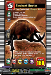 Elephant Beetle - D-BT13/EX04EN - EX