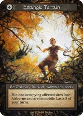 Entangle Terrain - Ordinary