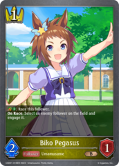 Biko Pegasus - CSD01-018EN - B