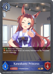 Kawakami Princess - CSD01-019EN - B