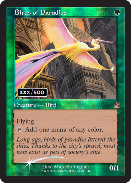 Birds of Paradise - Foil - Retro Frame (Serialized)