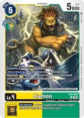 Liamon - EX5-030 - C