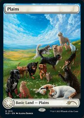 Plains (1513) - Foil