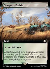 Sungrass Prairie (1041) (Extended Art) - Surge Foil