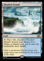 Flooded Strand - Foil