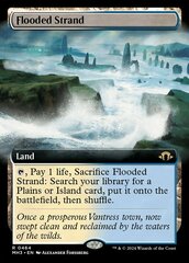 Flooded Strand (0464) (Extended Art)