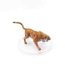 Tiger - 02
