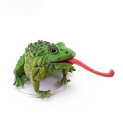 Giant Toad - 07