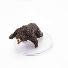 Brown Bear - 11