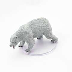 Polar Bear - 12