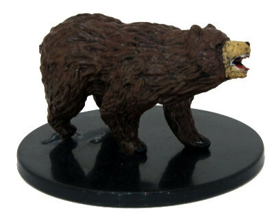 Brown Bear