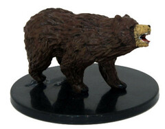 Brown Bear