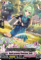 Rapid-growing Flowerbed, Selin (2) - DZ-TD06/007EN - TD