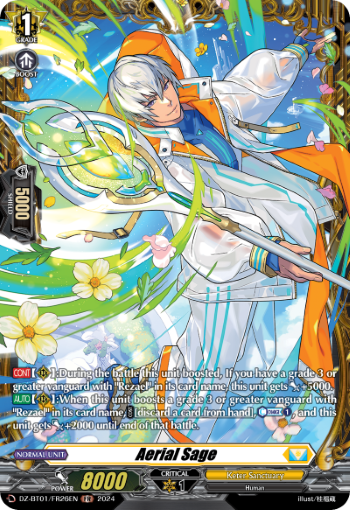 Aerial Sage - DZ-BT01/FR26EN - FR
