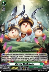 Burrow Mushrooms - D-PR/401 - PR