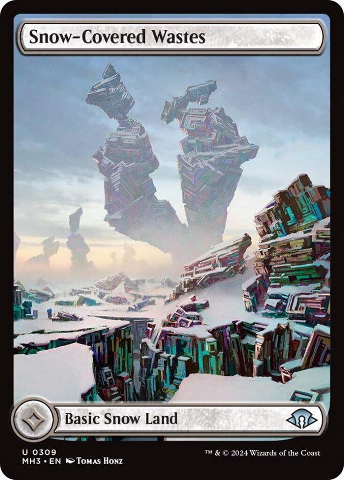 Snow-Covered Wastes - Foil - Borderless