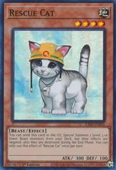 Rescue Cat - RA02-EN001 - Super Rare - 1st Edition