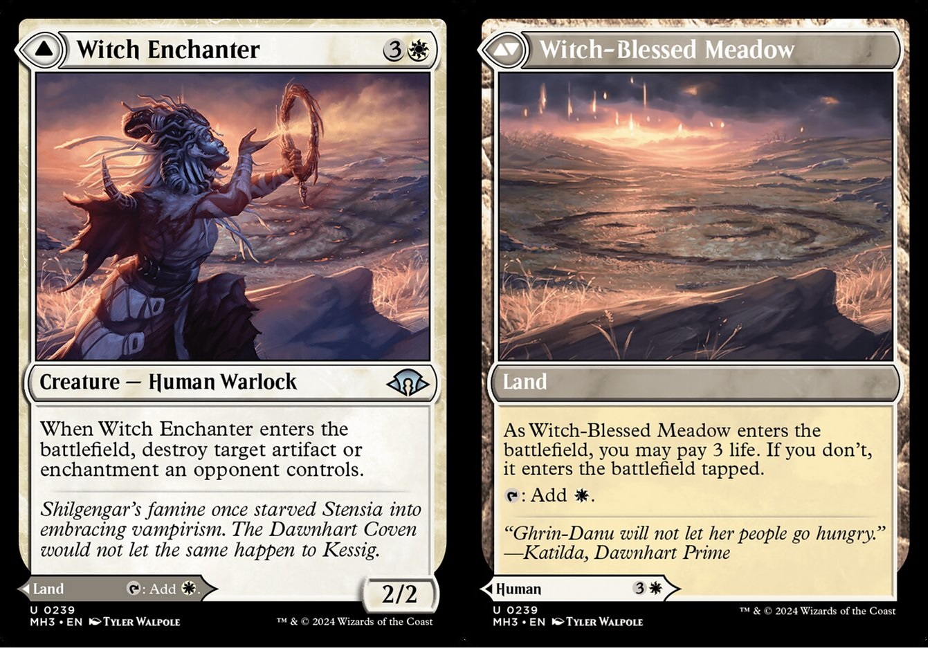 Witch Enchanter // Witch-Blessed Meadow