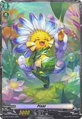 Plant Token - D-PR/249 2023 EN - PR - Foil