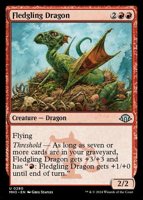 Fledgling Dragon