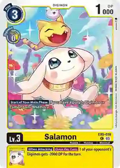 Salamon - EX6-016 - C