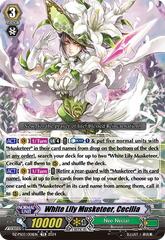 White Lily Musketeer, Cecilia - DZ-PS03/001EN - TD