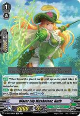 Water Lily Musketeer, Ruth - DZ-PS03/008EN - TD