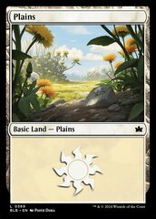 Plains (0369)