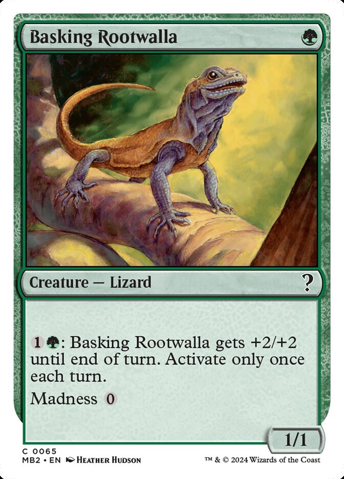 Basking Rootwalla - White Border