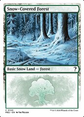 Snow-Covered Forest - White Border