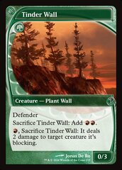 Tinder Wall - Foil - Future Frame