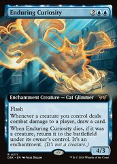 Enduring Curiosity - Extended Art