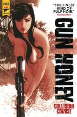 Gun Honey: Collision Course Direct Market Edition Trade Paperback (Mature Readers) (Adam Hughes Cover)