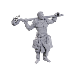 D&D Nolzur's Marvelous Miniatures: Unpainted Minis- Wave 24- Archdruid & Martial Arts Adept