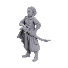 D&D Nolzur's Marvelous Unpainted Miniatures: Ansalon Human Rogue (Wave 23)