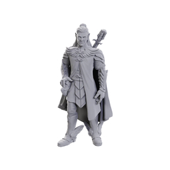 Critical Role Unpainted Miniatures: Dorian Storm (Wave 23)