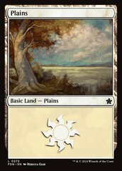 Plains (0272) - Foundations