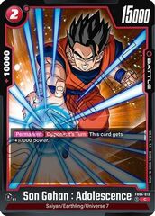 Son Gohan : Adolescence - FB04-013 - C