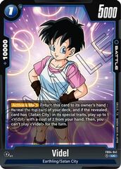 Videl - FB04-041 - U