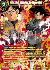 Goku Black, Guided by the Dragon Balls - EX24-10 - EX - Foil