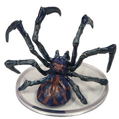 Phase Spider