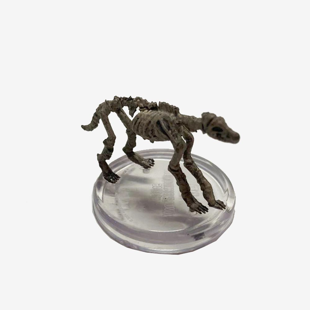 Wolf Skeleton